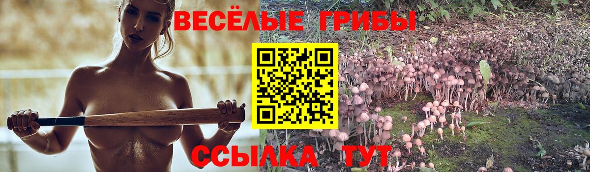 Галлюциногенные грибы Cubensis  Вход с VPN  Сибай 